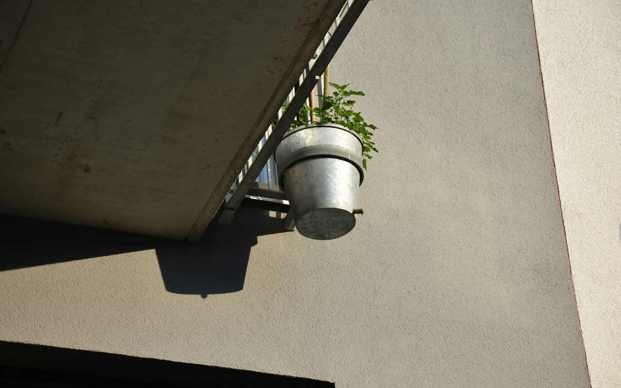 Schoenholzer12 Schattenspiel